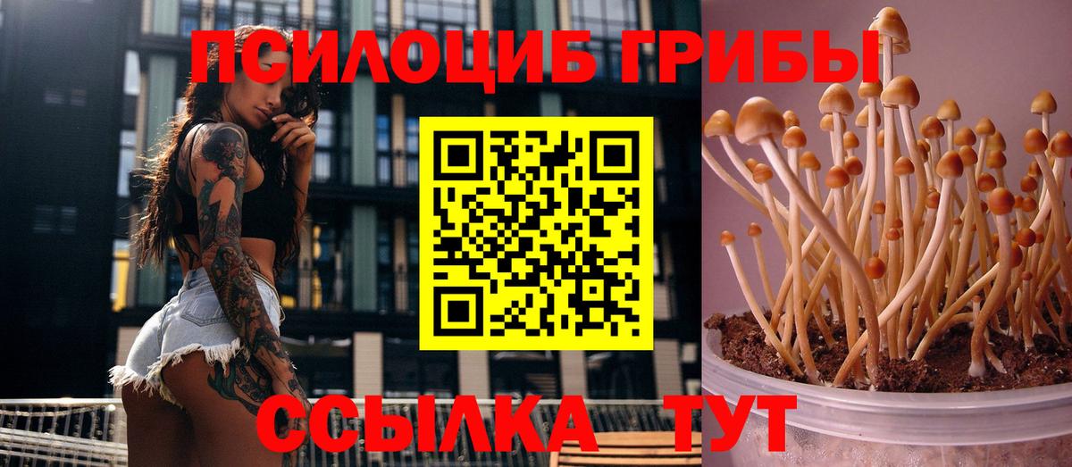 Печора  Псилоцибиновые грибы ЛСД  Вход с VPN  Галлюциногенные грибы ЛСД 